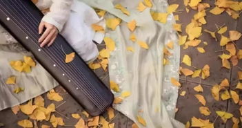 都市白领修身养性的上佳选择 合肥蜀山古琴培训班与乐器零售